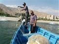 اجرای عملیات ماهی شناسی دریاچه چیتگر تهران توسط محققین پژوهشکده آبزی پروری آبهای داخلی کشور